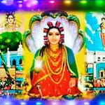 shiva Tenahalli - @shiva_tenahalli - Instagram