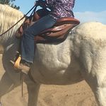 Tena Hall - @horse_girl4486 - Instagram