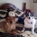 Tena Hall Mason - Facebook