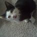 Tena Harding - Facebook
