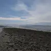 Tina Harding - @tina.harding5 - TikTok
