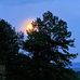 Tena Phillips - Facebook