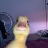 teneshiathomas - @teneshiathomas - TikTok