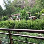 Teng Hou - @houteng.ht - Instagram