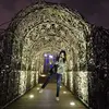 Teng Lin - @teng.lin2 - TikTok