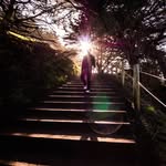 Teng Lin - @t.lin0 - Instagram