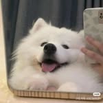 Teng Lin Chen - @lin_0920_2010 - Instagram