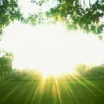 郭騰琳 - @tenglin.guo - Instagram