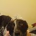 Tennie Smith - Facebook