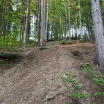 Teodor Georgescu - @georgescu3528 - Instagram