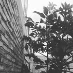 Teodora Basilio - @teodora.basilio.56 - Instagram