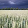 Teodora Campos - @teodora.campos0 - TikTok