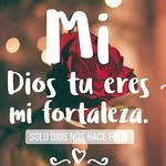 Teodora Campos Vargas - @teodoracamposvargas - Instagram