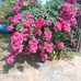 Teodora Gonzalez - Facebook
