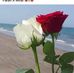 Teodora Lopez - Facebook