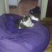 Teodora lopez - Facebook