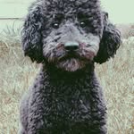 Teodoro Juarez - @teodorojonathanjuarez - Instagram