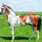 Teodoro Juárez - @teodoro_juarez - Instagram