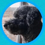 teodoro juarez - @teodorojuarez20 - Instagram