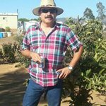 Teodoro Reyes - @teodororg - Instagram