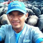 Teofilo Hernandez - @teofilo.hernandez.397 - Instagram