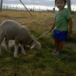 Teofilo Sanchez - @sanchezteofilo - Instagram