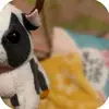 Teofilo Sanchez cruz - @teofilo.sanchez.c0 - TikTok