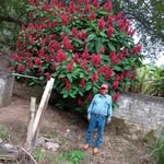 teófilo sanchez flores - @teofilosanchezflores - Instagram