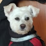 Teofilo Sánchez González - @teofilosanchezgonzalez - Instagram