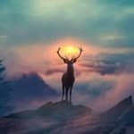 Tequila Davis - @whiskeyman2005 - Instagram