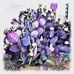 Tera Hoffman - Facebook