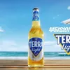 TERRA LIGHT - @terra.light - TikTok