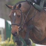 Tara Reid - @capstone.farm - Instagram