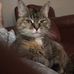 Tera Wilson - Facebook