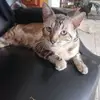 terewilliams65 - @terewilliams65 - TikTok
