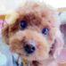 Terence Au - Facebook