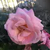 Terence Bailey - @terencebailey1940 - TikTok