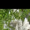 TerenceBenjamin_ - @terencebenjamin_ - TikTok