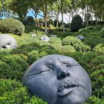 Terence Boyle - @terence.p.boyle - Instagram
