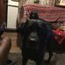 Terence Burke - Facebook
