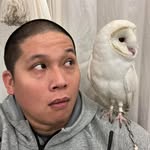Terence Cheng - @tkchengbjj - Instagram