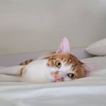 Terence Cheng - @terence_cheng_1125 - Instagram