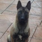 Terence Dillon - @terence.dillon1 - Instagram