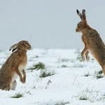 Terence Stephen Douglas - @douglasterence - Instagram