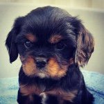 Dougal Terence Doyle - @dougal.doyle - Instagram