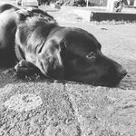 Clyde Barrow - @terence.franke.3 - Instagram
