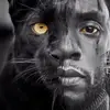 terencegarner08 - @nbatege - TikTok