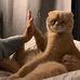 Terence Goh - Facebook