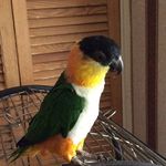 Terence Harding - @tel.h58 - Instagram