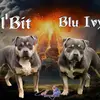 HarrisBulliez - @terenceharris910 - TikTok